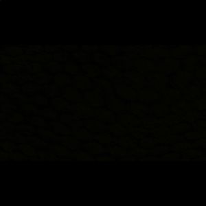 Meet your Posher, Blakely